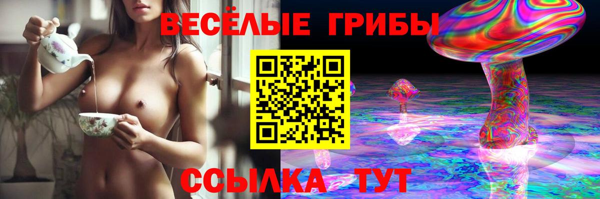 Галлюциногенные грибы мицелий  Вход с VPN  Галлюциногенные грибы мухоморы  Муром 
